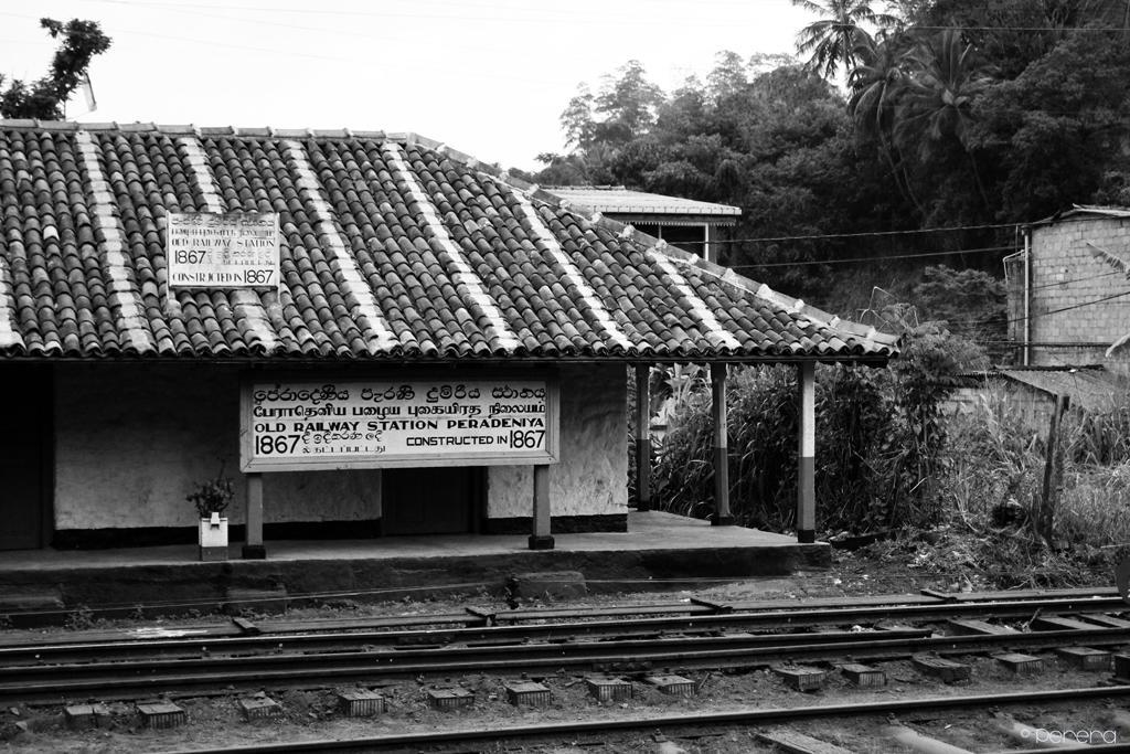 Bed and Breakfast Summit View à Kandy Extérieur photo