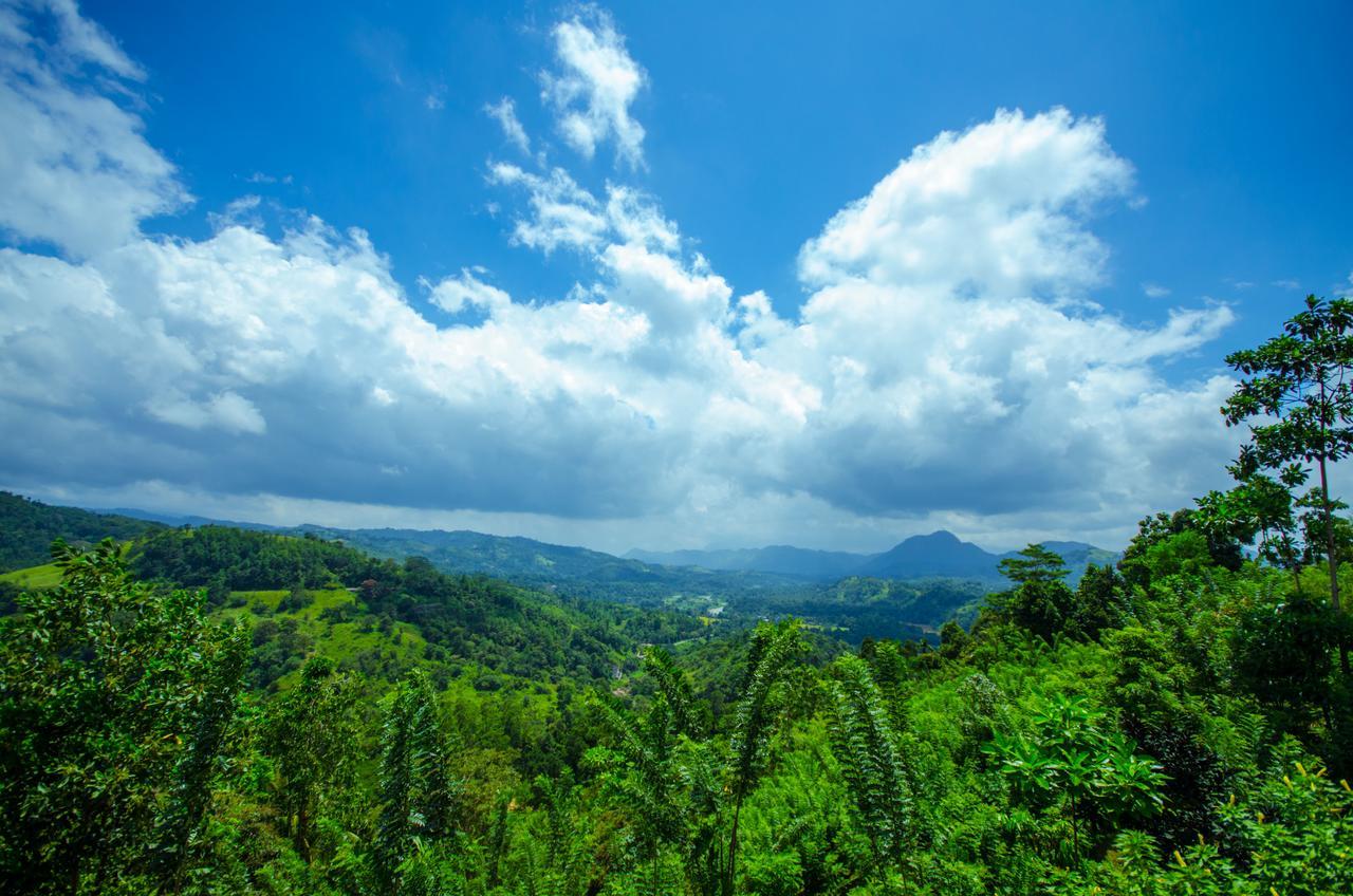 Bed and Breakfast Summit View à Kandy Extérieur photo